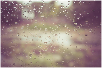 雨水节气要注意调养脾胃
